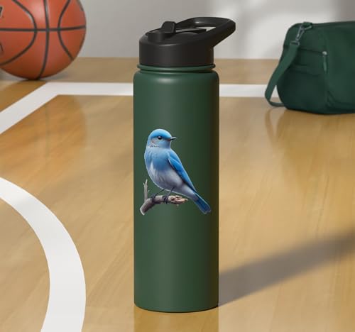Bird Series. Mountain Bluebird. Stainless Steel Insulated Water Bottle - color: Dark Green