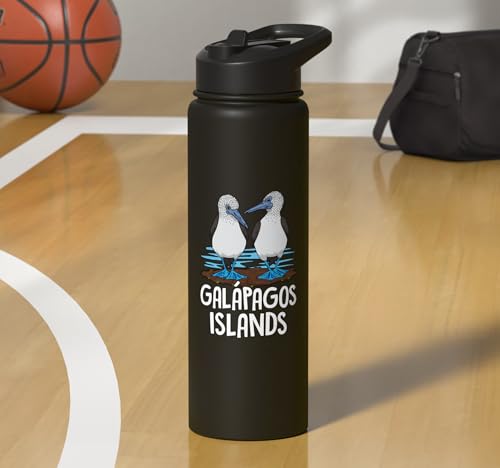 Galapagos Islands Seabirds Blue-footed Booby Bird Stainless Steel Insulated Water Bottle - color: Black