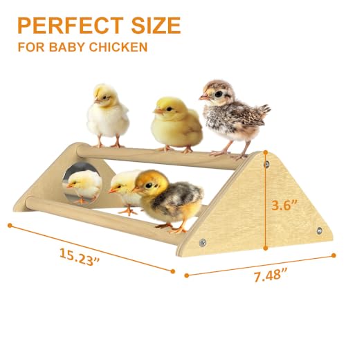 Chicken Toys with Mirror, Roosting Bars for Chicks in Coop and Brooder, Wooden Chicken Perch, Coop Accessories for Large Bird, Baby Chicks, Parrot, 2 Pack