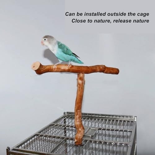 Asixxsix Wood Bird Perch, T Shaped Birdcage Stand Wooden Parrot Perch Stand Perch for Bird Cage Grinding Bird Perch Branches, T Perch Bird Accessory, Easy to Install