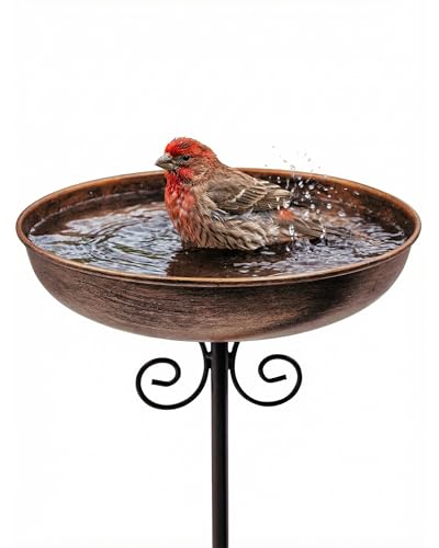 10" Small Metal Bird Bath with Stake, Outdoor Birdbath for Garden | 5-Prong Stake, Adjustable Height, Rust Resistant Finish, Easy Assembly, Shallow Bowl Design, Lawn Patio Decor - size: 10 "diameter, 1.6" depth