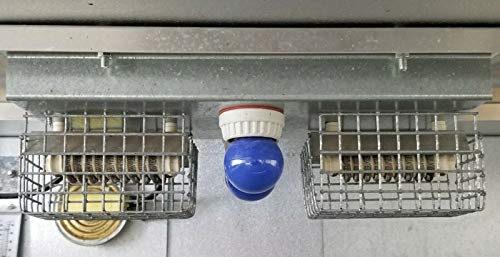 Pinnon Hatch Farms 0537 - Replacement Heater & Thermostat for Box Brooder 110V