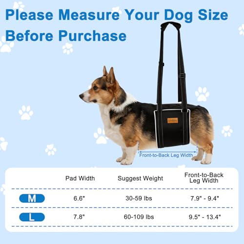 Vivifying Dog Lift Harness for Medium Dogs, Soft Bird's-Eye Cloth Hind Leg Support Sling, Adjustable Dog Lifting Harness for Weak Rear Legs, ACL Surgery Mobility Assist, M, White - size: M
