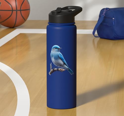 Bird Series. Mountain Bluebird. Stainless Steel Insulated Water Bottle - color: Royal Blue