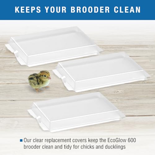 Brinsea Clear Plastic Covers for EcoGlow Safety 600 Chick Brooder, 3 Pack | Authentic Brinsea plastic replacement cover for the EcoGlow Safety 600 chick brooder (model USHD611C) to make cleaning easier - style: EcoGlow Safety 600