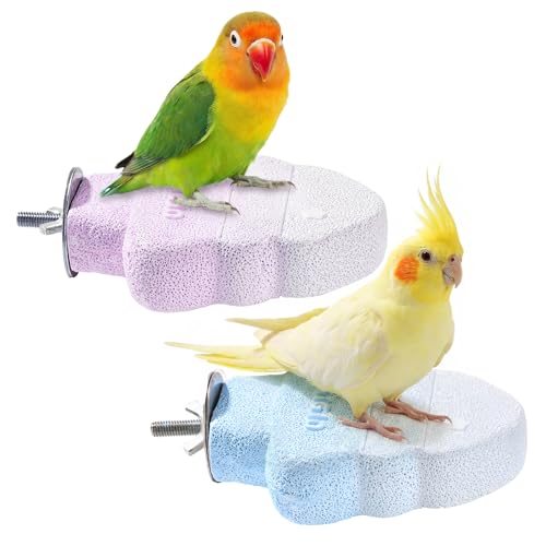 2 Pack Parrot Perch for Cage Bird Beak Grinding Stone, Volcanic Rock Mineral Bird Perch, Parrot Cage Accessories for Parakeets Budgies Cockatiels, Lovebirds Small to Medium Birds - color: Blue+Purple