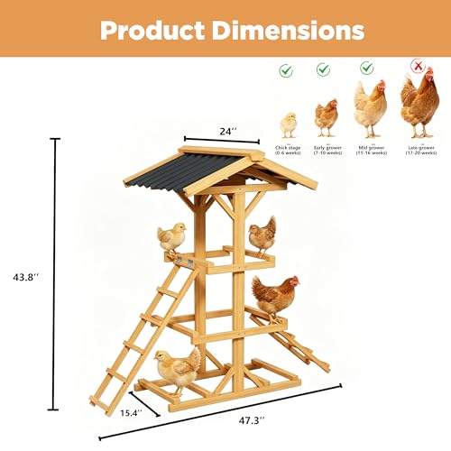 Wood Parrot Perch Multi-Tier Bird Play Stand with 2 Ladders and Canopy | Stable Wooden Bird Activity Playground, Suitable for Small Medium Parrots, Backyard Cage Accessory