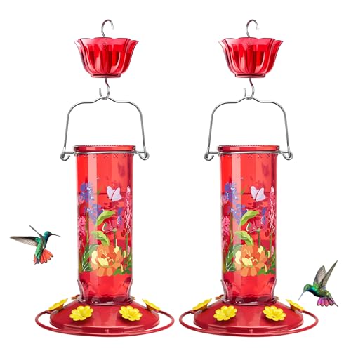 Kingsyard 2 Pack Hummingbird Feeders for Outdoor Hanging - Charming Patterned Glass Humming Bird Feeder with 6 Feeding Ports and Ant Moat, Ideal Gift Choice for Bird Lovers, Red | Extra-Wide Mouth Bottle for Easy Cleaning, 6 Feeding Ports, Built-In Ant Mo