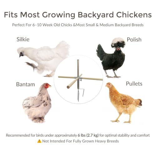Chicken Perch Toys for Coop, Perches Adjust Height 6-17" for Young Chickens | Portable Wooden Roosting Bar for Bantams, Silkies &Small Backyard Flock, Height Adjustable Outdoor Chicken Playground Stand - size: H=23.6inch