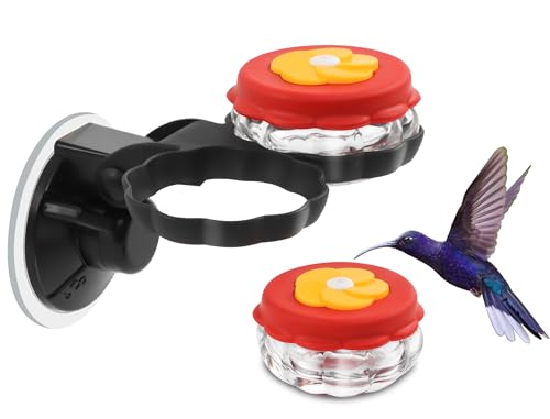 Fchstaer 2 Pack Handheld Hummingbird Feeders, Mini Glass Hummingbird Hand Feeders for Hand Feeding & Window Viewing, Suction Cup Window Mount, Easy Clean Wide Mouth Design, Double Flower Feeding Ports - color: Transparent