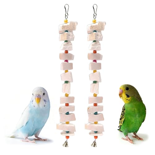 2 Pack Bird Toys, Parakeet Toys with Cuttlebone, Natural Cuttle Bone Bird Beak Grinding Stone & Parrot Chew Cuttlebone Cage Accessories with Bell for Budgie, Conure, Lovebird - 12 Pieces - color: 2 Pack Bird Toys - 12 Pieces, size: 17.13*1.57*1.57"