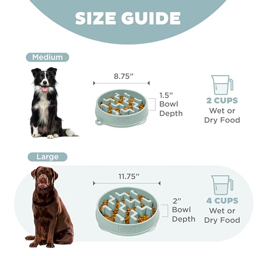Outward Hound Medium Slow Feeder Bowl, Puzzle Maze for Fast Eaters, Small to Medium Dogs, Helps Prevent Bloat & Aid Digestion, Holds 2 Cups Wet or Dry Food, Non-Slip, Made Without BPA, Sage - color: Sage, size: Medium