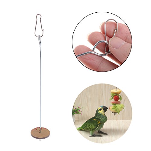 Bird Food Holder Parrot Foraging Toys For Hanging Stainless Steel Treat Veggie Skewer For Parakeets Conures Bird Feeders For The Garden Bird Feeders Stations With Stand Bird Feeder Hanging Bird