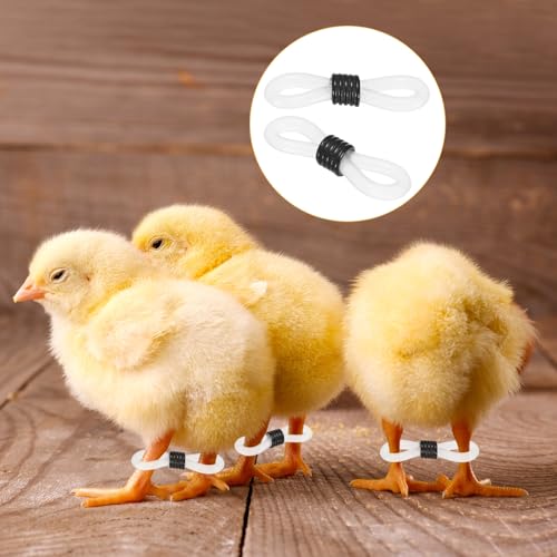 M METERXITY 100-Pack Adjustable Chick Leg Bands, 0.79" x 0.2" Silicone Chicken Leg Brace for Chicks/Ducks/Birds [Black] Poultry Leg Bands - color: Black