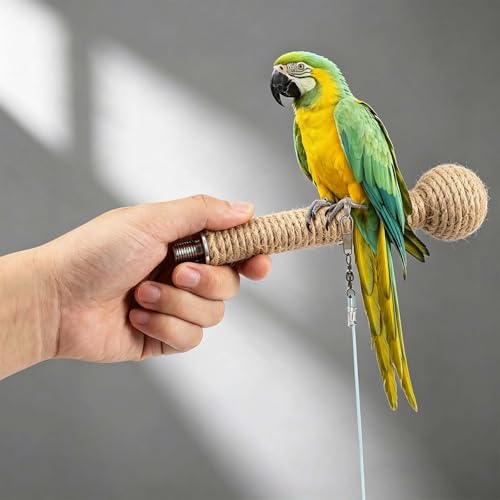Bird Leash with 4 Different Size Foot Ring, Parrot Flying Rope Elastic Bird Harness Flying Leash Outdoor Training Traction Rope for Conure Cockatiel Parakeet Macaw Budgerigar