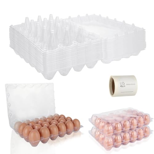 36 PCS Plastic Egg Cartons Cheap Bulk 24 Count Clear Blank Egg Cartons with Free Labels Holds up to 24 Eggs Securely Reusable Egg Carton for Family Pasture Chicken Farm Market Display, 4x6 Grids - size: 4x6