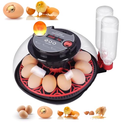 Incubators for Hatching Eggs with Automatic Egg Turning,Temperature & Humidity Control, Come with Egg Candler, External Water Bottles 360° Clear View Incubator for Hatching Chicken Eggs Quail Duck