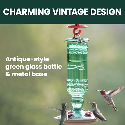 Perky-Pet Antique Glass Bottle Hummingbird Feeder, 10 oz Capacity, Green | 4 Feeding Ports for Outdoors Hanging Bird Feeders, Backyard Garden Décor - style: Green Bottle