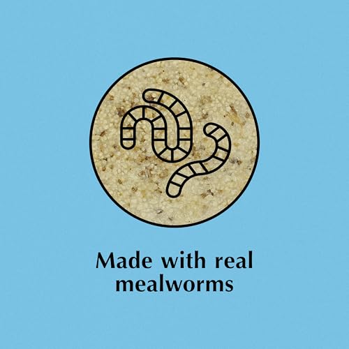 C&S Mealworm Treat Suet Treat, Suet Cakes for Wild Birds, Pack of 8 | Suet cakes for woodpeckers, made with real insects, use in a suet feeder year-round - style: Mealworm Treat, 8 Pack