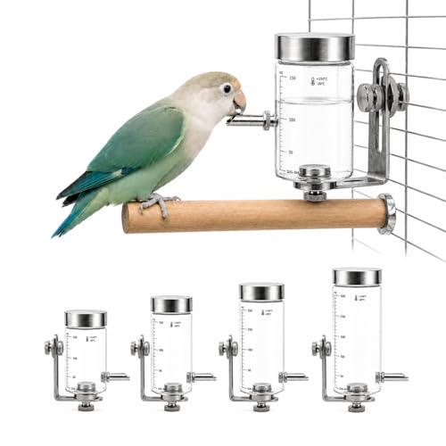 Glass Bird Water Feeder with Magnetic Holder – No Drip Cage Water Dispenser for Small Parrots & Birds, Automatic Drinking Bottle for Cockatiels, Budgies, Lovebirds, Conures(300ml4245-4) - size: L