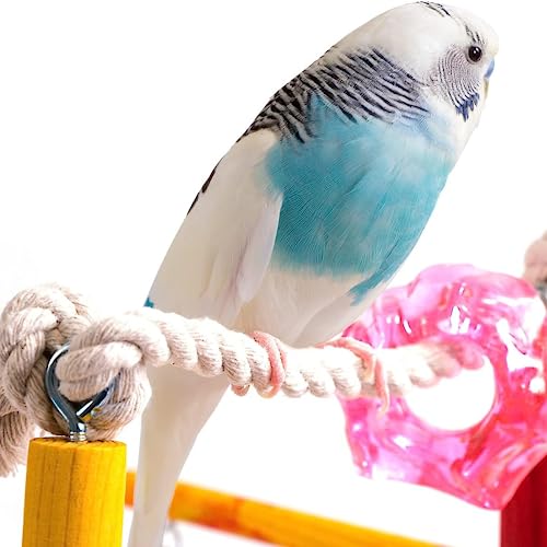 Penn-Plax Bird Life Wooden Playpen – Perfect for Parakeets, Lovebirds, Parrotlets, Cockatiels, and Green Cheek Conures – Medium - color: Multicolor, size: Medium