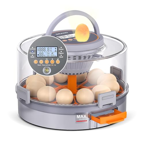 12 Egg Incubators for Hatching Eggs, Automatic Egg Turning & Humidity Control Intelligent Temp Eggs Candler for Chicken Quail Duck etc. Eggs, Suit for Beginner Backyard Hobbyist Students Education - color: Light gray