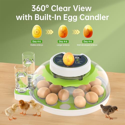 Egg Incubator with Automatic Egg Turning and Humidity Control, 18 Eggs Incubators for Hatching Eggs Chicken Quail Ducks Goose Parrot for Home Lab Farm Classroom