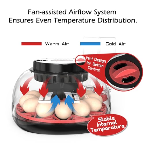 Smart Chicken Incubators for Hatching Eggs with Automatic Turner Small Poultry Duck Quail 12 Egg Incubator Temperature Control Display Hatcher Machine (M12 Pro) - color: M12 Pro