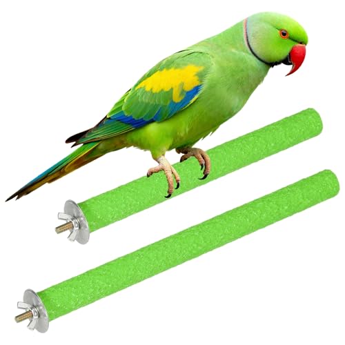 Bird Cage Perch, Colorful Parrot Grinding Claw Sticks, Platform Paw Stand Toy 8/10 Inch, (Wooden, Green, 2Pcs), Intended for Small Medium Birds/Parrots/Finches/Lovebird - color: Green, size: 8/10 Inch