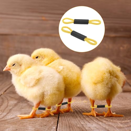 M METERXITY 100-Pack Adjustable Chick Leg Bands, 1.38" x 0.2" Polyester Chicken Leg Brace for Chicks/Ducks/Birds [Yellow] Poultry Leg Bands - color: Yellow