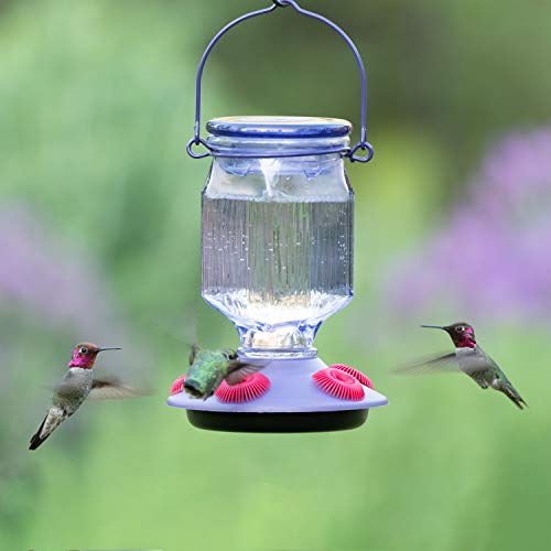 Perky-Pet 9101-2 Lavender Field Top-Fill Glass Hummingbird Feeder Purple 16 oz Capacity - color: Purple
