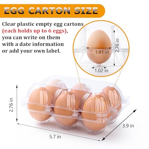 180 Pack Plastic Egg Cartons Cheap Bulk 6 Count, Clear Egg Trays 2x3 Grids | Bulk Egg Carton Fits Small to M Chicken Eggs, Reusable Egg Holder/Container for Family, Chicken Farm and Markets - size: 180P2×3