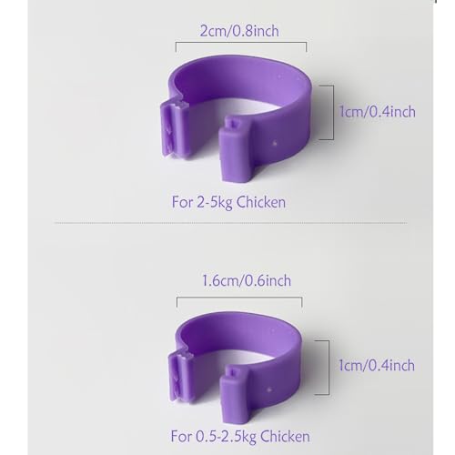 100Pcs Chicken Leg Rings - Colorful Readable Numbered Chicken Identification Leg Bands, Poultry Leg Bands Clip on Leg Rings for Ducks Chicks Chicken Guinea Pigeons Goose Gamefowl (20mm/0.8inch) - size: 20mm/0.8inch