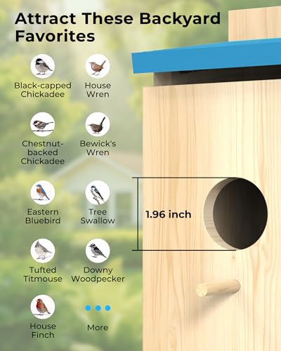 Bluebird House with Camera,Bird House with Camera Solar Powered | Motion Detect & Night Vision,App Control,Wi-Fi Bird Watching for Backyard Nesting,Camera Bird House,Smart Bird House,Blue - color: Light Blue