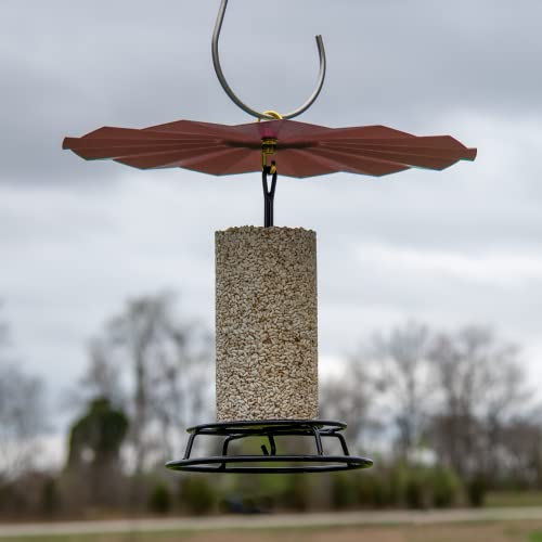 Metal Rain/Weather Guard - Perfect for Outdoor Bird Feeders, Seed Cylinders, Hummingbird Feeders, Cylinder Feeders and More Against Water, Sun, and Overhead Messes Rust Proof, - color: Red, size: 16 Inches