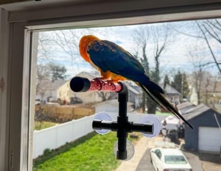 CleanPerch™ Window Bird Perch with Suction Cups. Grooming & Outside Viewing Perch for Parrots, Conures & Small Birds. Window-Mounted Bird Stand (Black/Pink, 6") - color: Black/Pink, size: 6"