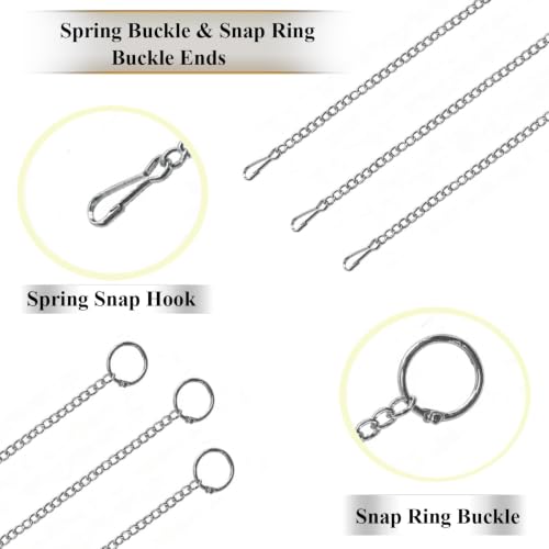 6PCS Stainless Steel Long Medium Short Fruit Forks Bird Cage | Parrot Vegetable Feeding Snack Rack Bird | Toys for Parakeets | 3 Hook 3 Chains
