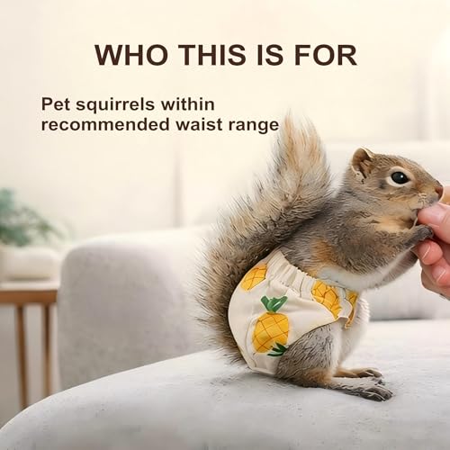 2 Pack Reusable Squirrel Diapers for Pet Squirrels, Adjustable Elastic Waist, Indoor Use, Measure Before Purchase - size: M