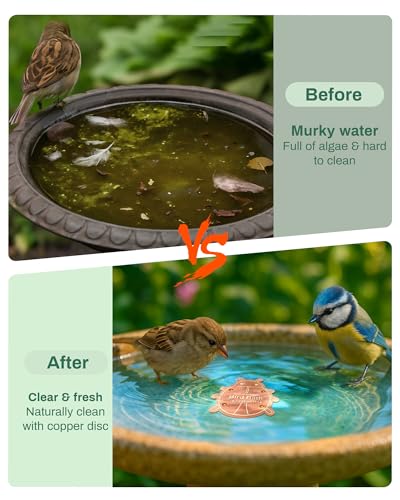 OICEME Bird Bath Purification Disk Pure Copper Outside Winter Solar Power Birdbath Heater Deicer Bowl Safe Ground Garden Hummingbird Pedestal Fountain Cleaner Outside Hanging Bowl Dispenser Ladybug - color: Copper Ladybug
