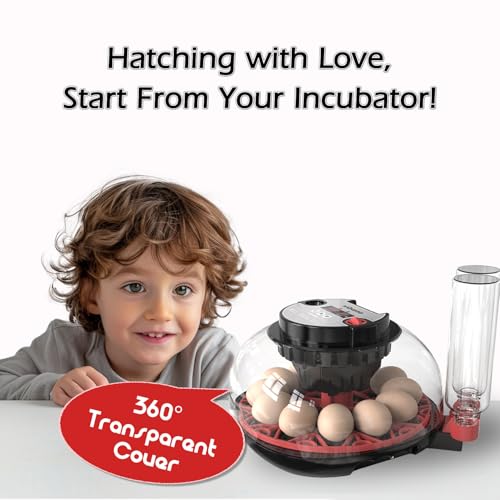 Smart Chicken Incubators for Hatching Eggs with Automatic Turner Small Poultry Duck Quail 12 Egg Incubator Temperature Control Display Hatcher Machine (M12 Pro) - color: M12 Pro