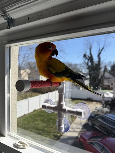 CleanPerch™ Window Bird Perch with Suction Cups. Grooming & Outside Viewing Perch for Parrots, Conures & Small Birds. Window-Mounted Bird Stand (White/Pink, 6") - color: Pink, size: 6"