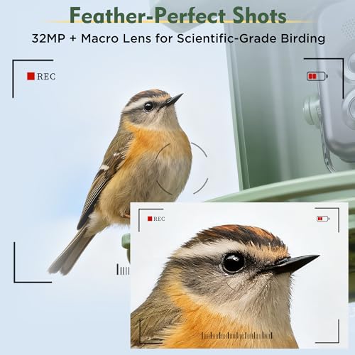 Hibird 4K HD Smart Bird Feeder with Camera Solar Powered, 2.4GHz/5GHz Dual WiFi Auto Capture Bird Video, Real-time Notifications & Live Streaming, AI Identify 10000+ Species for Gift