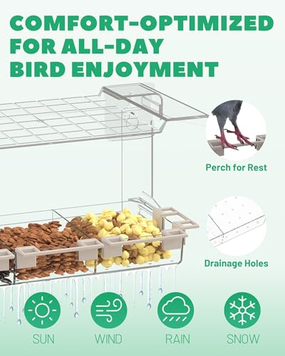 Clear Window Bird Feeder Outdoors - Bird Feeder for Viewing with 5 Perching Stands, Self-Adhesive Hooks, Drain Holes and Removable Tray, as a Birdhouse, Garden Decor - color: Clear