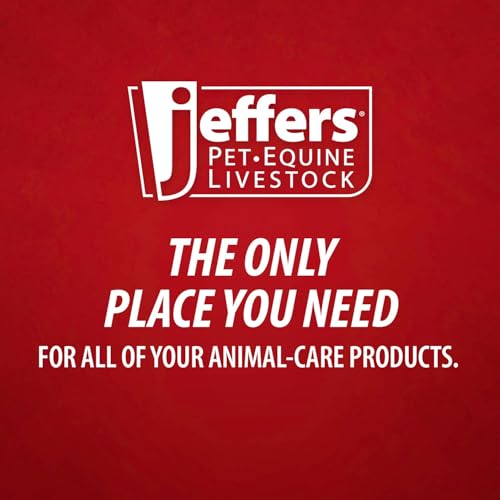 Jeffers Feed Scoop for Horses, Livestock, Pets, Chickens, Goats – 5 Pint 2.5 Quart Heavy-Duty Plastic Grain Scoop – Durable Farm Tool for Animal Feed, Barn, Stable, Garden, Dog Food - Red - color: Red Feed Scoop