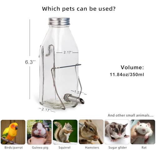 Guinea Pig & Rabbit Water Bottle, 350ml No-Drip Chew-Proof Glass Dispenser with Stainless Steel Nozzle for Hamster, Squirrel, Bird, Guinea Pig Cage (350-H)