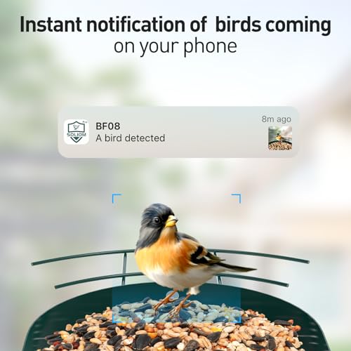 SOLIOM Smart Bird Feeder with Camera for Outdoors, Durable Metal Solar AI Birdhouse, 2K Live View & Instant Alerts, Squirrel-Proof – Complete Bird Watching Gift Set(Red) - color: Red Medium Set