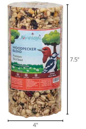 JCs Wildlife Woodpecker Blend Bird Seed Cylinder with Hole, Peanuts Pecans Pumpkin Seeds Berries, No Filler Wild Bird Food for Outside Feeders, Made in the USA, 1 Count (Pack of 2) - size: 1 Count (Pack of 2)