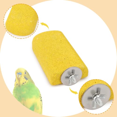 Hypeety Bird Beak Grinding Stone Cage Calcium Mineral Paw Grinding Block | Natural calcium stone, provides calcium and beak care, durable chew-proof, for parrot/chinchilla/hamster, 1pc, random color - color: Perch Stand