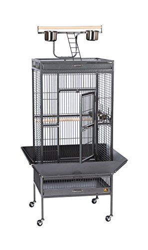 Prevue Pet Products 3152BLK Wrought Iron Select Bird Cage, Black Hammertone | Large Steel Cage with Rolling Stand, Seed Guards, and Playtop, Ideal for Conures and Medium Birds - color: Black Hammertone, size: 24.0"L x 20.0"W x 60.0"H