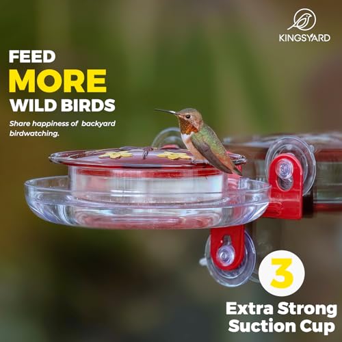 Kingsyard Window Hummingbird Feeder with 3 Extra Strong Suction Cups | Leak-Proof Design, Built-in Ant Moat & 5 Bee-Proof Ports, Circular Perch with 360° Feeding, 8 oz Nectar Capacity (2 Pack)
